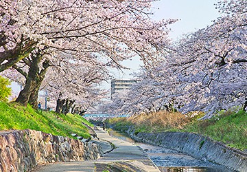 大中公園　徒歩13分（1.1㎞）／車4分（1.1㎞）