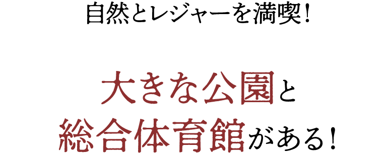 自然とレジャーを満喫！大きな公園と総合体育館がある！