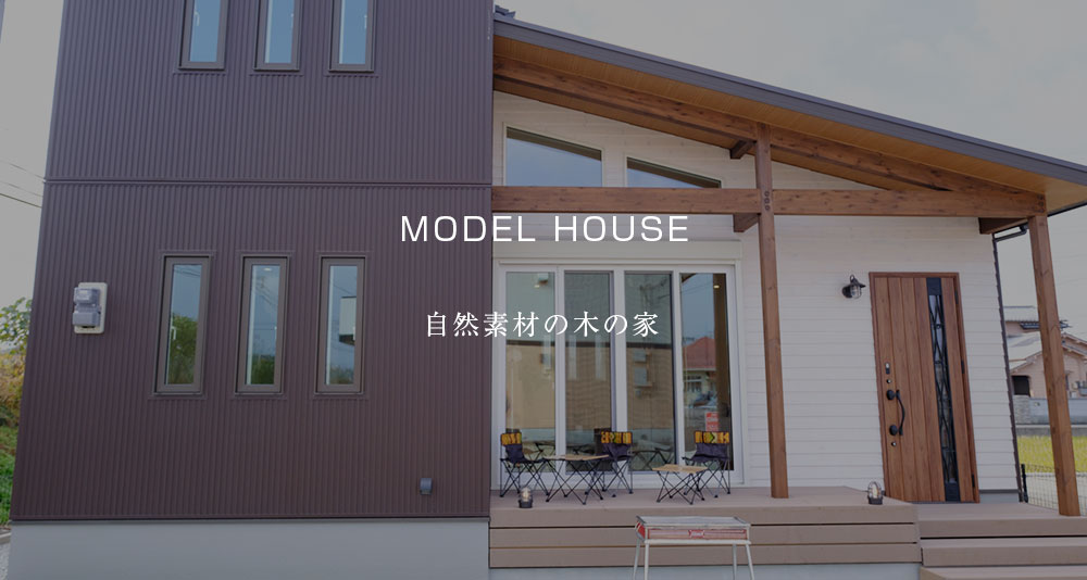 MODEL HOUSE huck